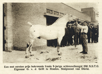 99059 Afbeelding van het prijswinnende paard van eigenaar G. v.d. Grift uit Houten op de paardententoonstelling bij de ...